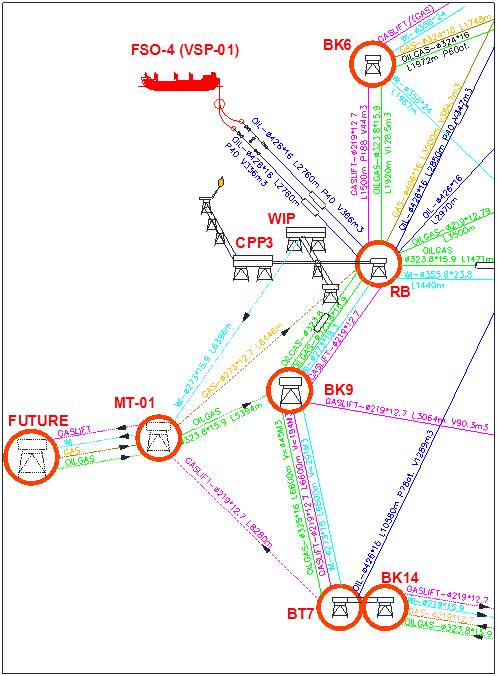 Bach Ho 01 Field layout.jpg