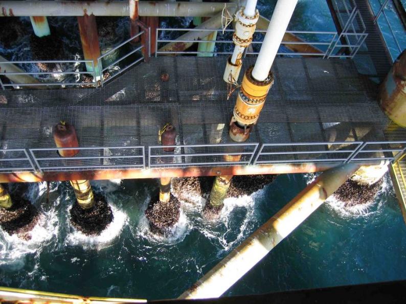 IEV-to-Supply-MPG-Technology-to-Oil-and-Gas-Platforms-in-Asian-Waters.jpg